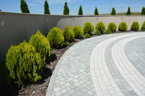 Best Best Driveway Pavers  in Chino Valley, AZ